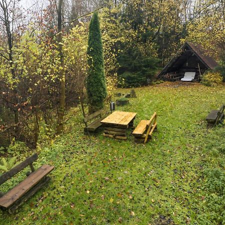Truth Ruhe Oase, Naturblick, Smart Tv, Terrasse Brilon Luaran gambar